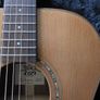 Acoustic Guitar (BSG J10F) Image 2