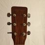 Tanglewood Acoustic Guitar Made in Korea Image 6