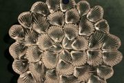 Royal Copenhagen Glass Crystal Shell Bowl