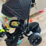 6-1 Trike Image 5