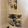 The First 28 Years of Monty Python Book Image 6