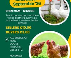 Poultry sale in the Naul, Co N.Dublin