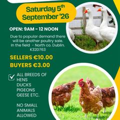 Poultry sale in the Naul, Co N.Dublin