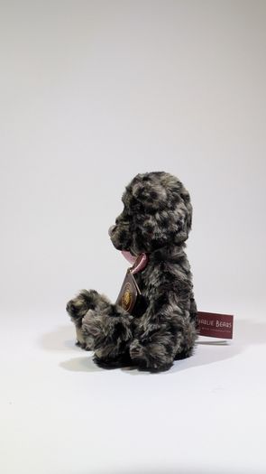 Charlie bears teensy weensy