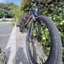 Wiggins bike Image 5