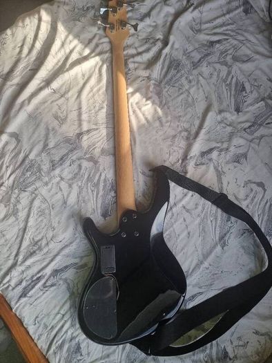 Cort Bass and AMP