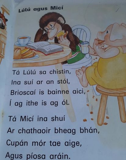 Fallons vintage Gaeilge books