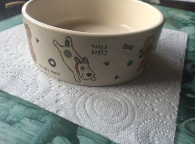 Porcelain dog bowl