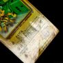 Electabuzz No.125 Glossy CoroCoro Comic Japanese Promo Pokemon Card 1998 Gym Image 3
