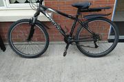 giant bike