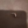 rose gold skull earring Image 2