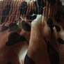 Leopard print see through skirt Image 2