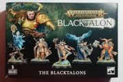 Warhammer Age of Sigmar Stormcast Eternals The Blacktalons