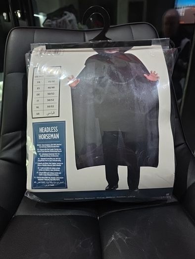 Halloween Costume
