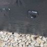 Antique army horse trough Image 4
