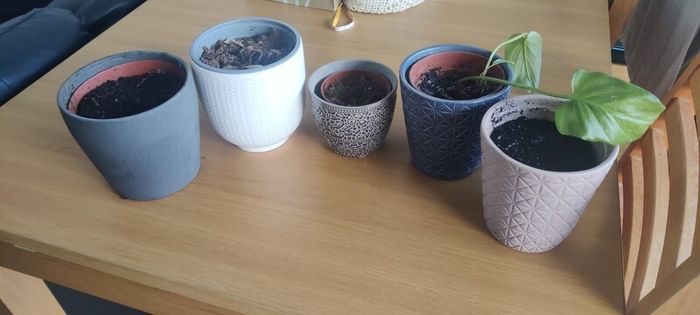 Vases
