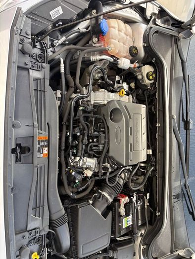 Ford Focus 2019