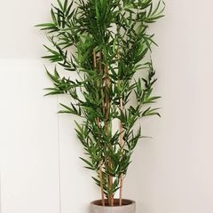 Elegant Artificial Tree and Pot