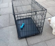 Cage