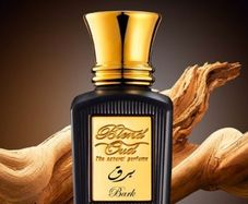 Blend Oud Bark 75 ml unisex new