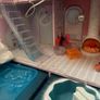 LOL Dollhouse Image 2