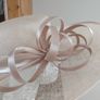 Stunning Oatmeal / Blush Wide Rimmed Hat by Linea Image 2