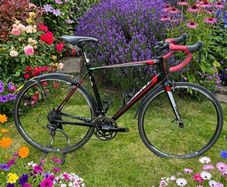 Giant Defy 1