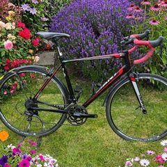 Giant Defy 1