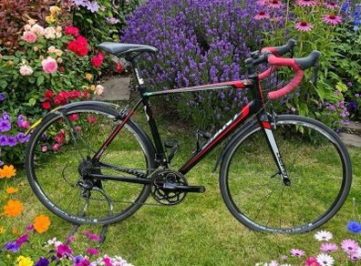 Giant Defy 1