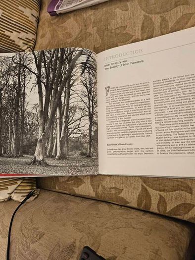 Forest Images. Fr Browne's Woodland Photographs From Emo Court Co Laois. Fabolous FIRST EDITION Large Volume Hardback In Good Condition.  See Photos For Same.