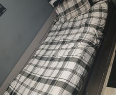 Single day bed and mattress