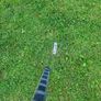 Lady Dunlop Df01 Putter Anser golf Club Rh right handed Image 9