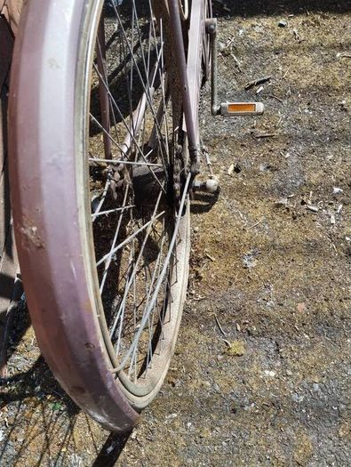 ladies vintage raleigh