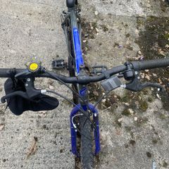 Mens Bike
