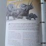 The Age of  Dinosaurs Fact File Image 7