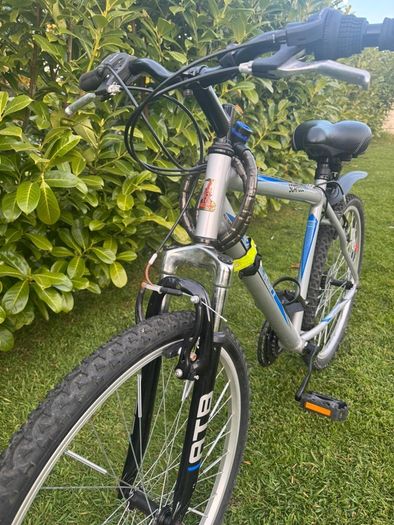 Mens Raleigh Mountain Bike