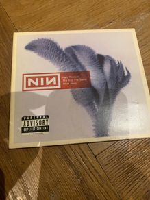 Nine Inch Nails - The Day The World Went Away