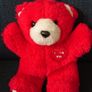Valentine Teddy and Bees Image 2
