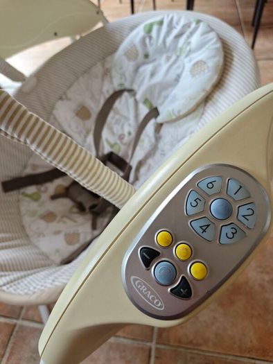 Graco Baby Swing