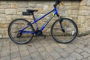 1 adult bike