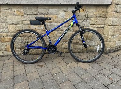 1 adult bike