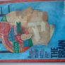 New unopened time magazine THE BRAIN with free cd inside Image 2