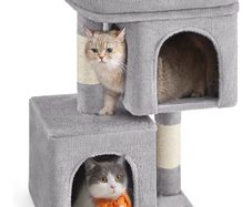 cat house