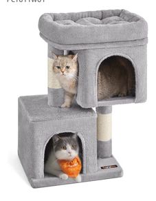 cat house