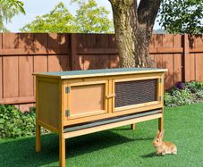 Rabbit Hutch Outdoor Guinea Pig Hutch with Run, Small Animal Off-ground Duck House Hideaway Backyard with Openable Roof, 125.5 x 100 x 49cm, Orange