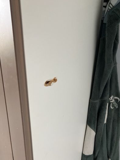 Ikea wardrobe