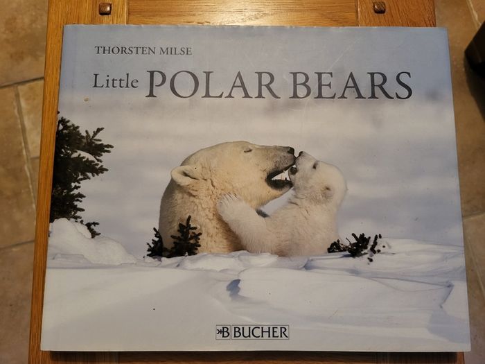 Little Polar Bears by Thorsten Milse.