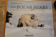Little Polar Bears by Thorsten Milse.