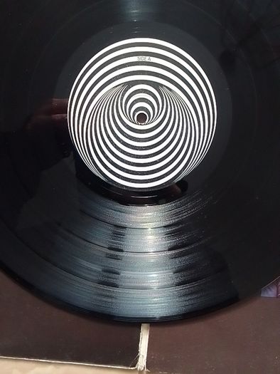 Hokus Poke LP - Earth Harmony