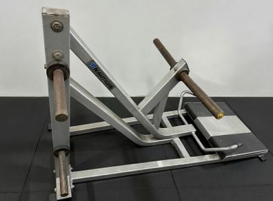 Nautilus T-Bar Row Model F2TBR Commercial